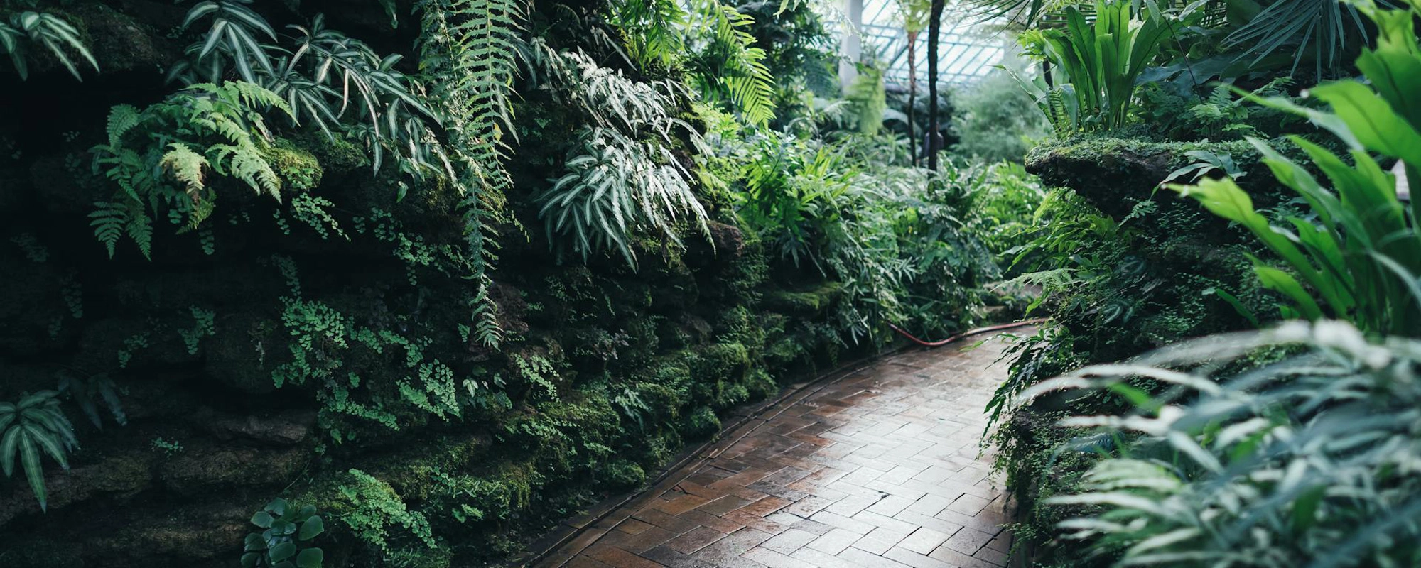 Ozone Agro Landscapes Kerala Landscaping Services