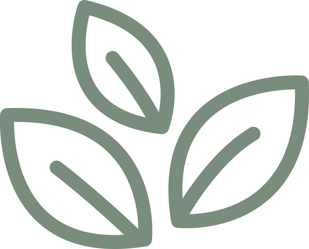Experienced Landscaping Company Kerala