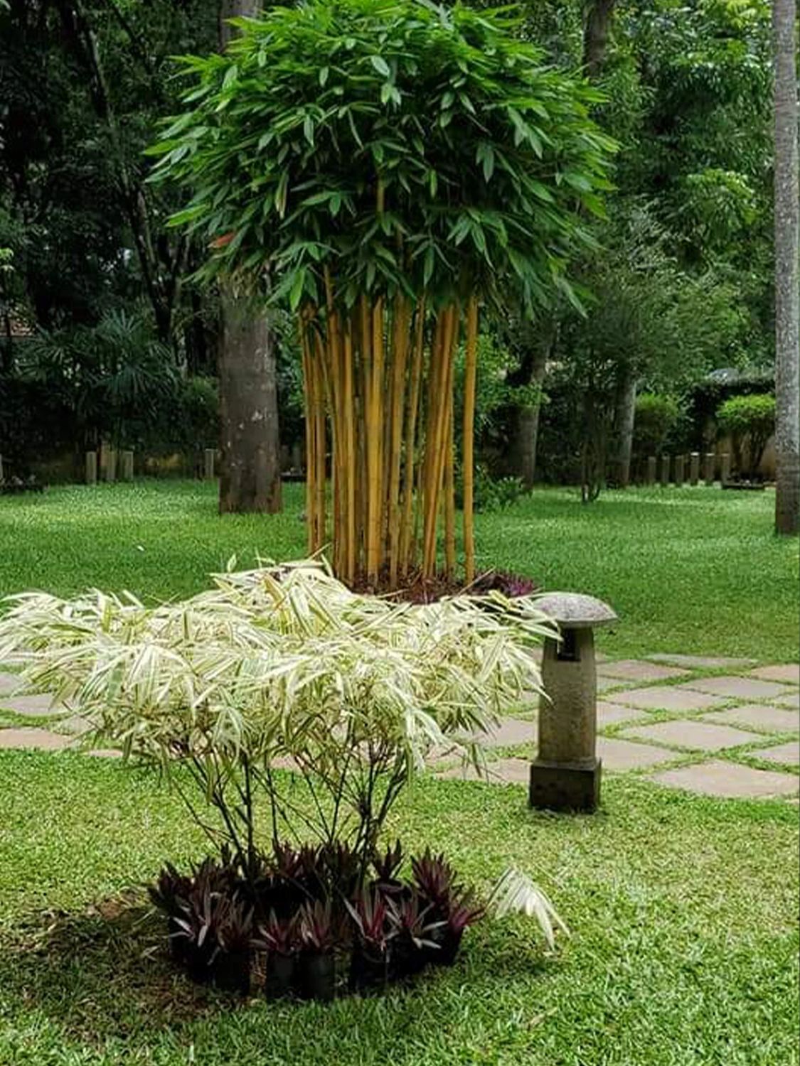 Ozone Agro Landscapes